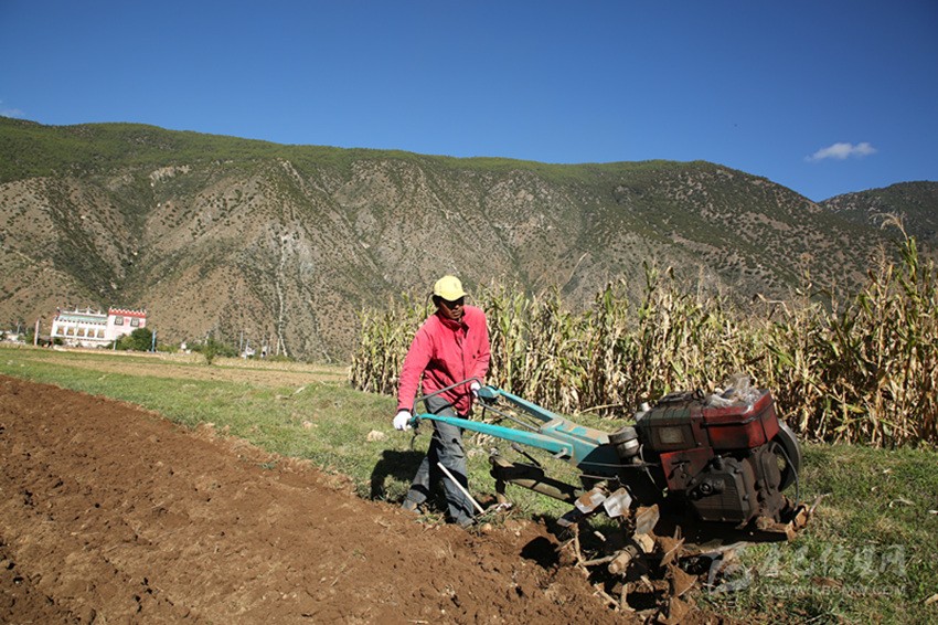 田園藏鄉(xiāng)美如畫，百姓脫貧喜在心