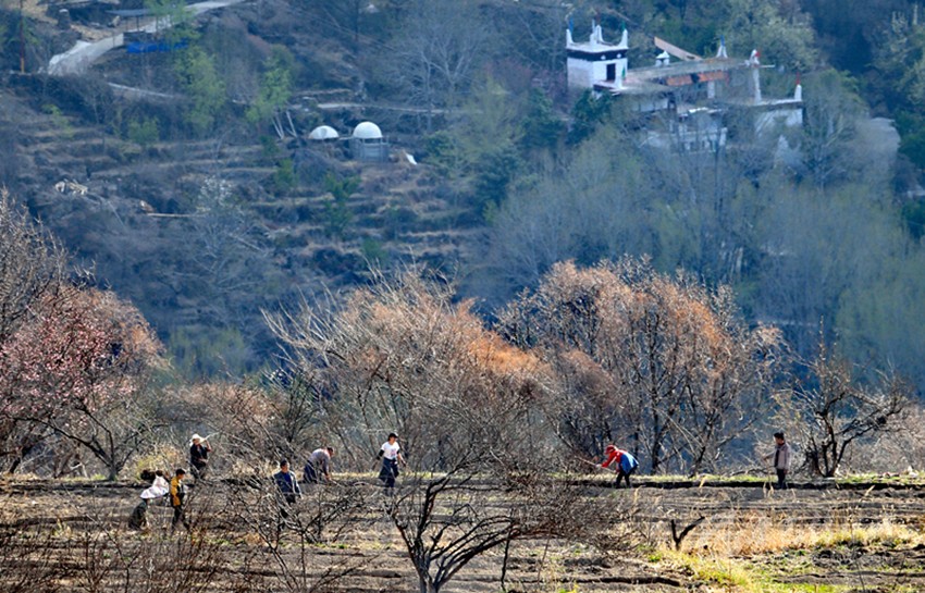 鉚足“?！眲鸥髅? onload=