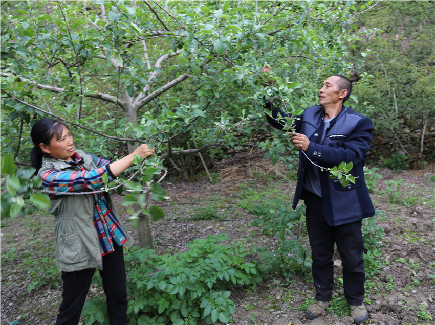 彭萬林.jpg 彭萬林.jpg