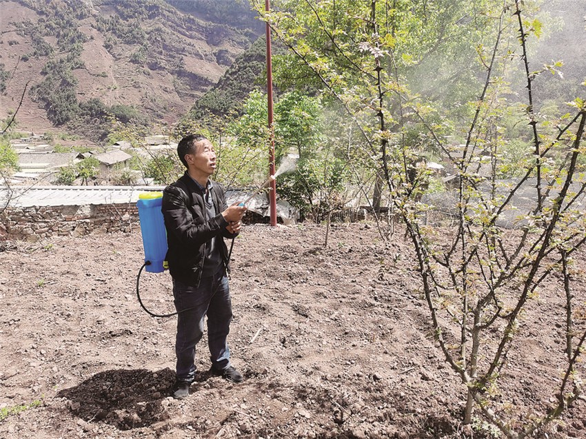 尹元明.jpg 尹元明.jpg