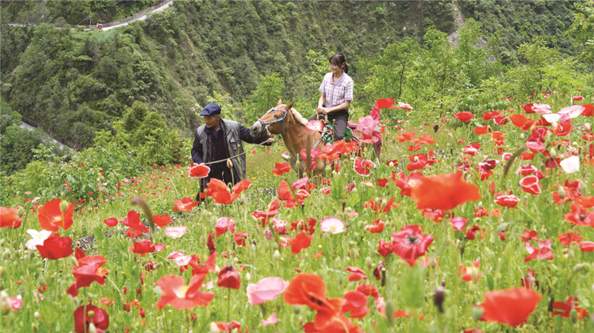 游客騎馬.jpg 游客騎馬.jpg