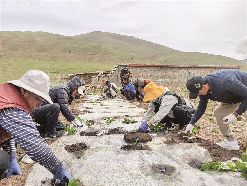 村民在萬(wàn)畝.jpg 村民在萬(wàn)畝.jpg