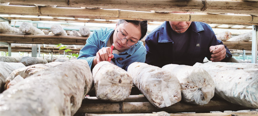 洛絨扎姆.jpg 洛絨扎姆.jpg