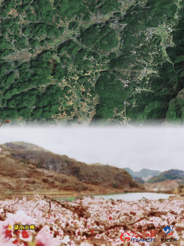 清明游玩賞花圖鑒來了！衛(wèi)星鏡頭帶你先睹為快