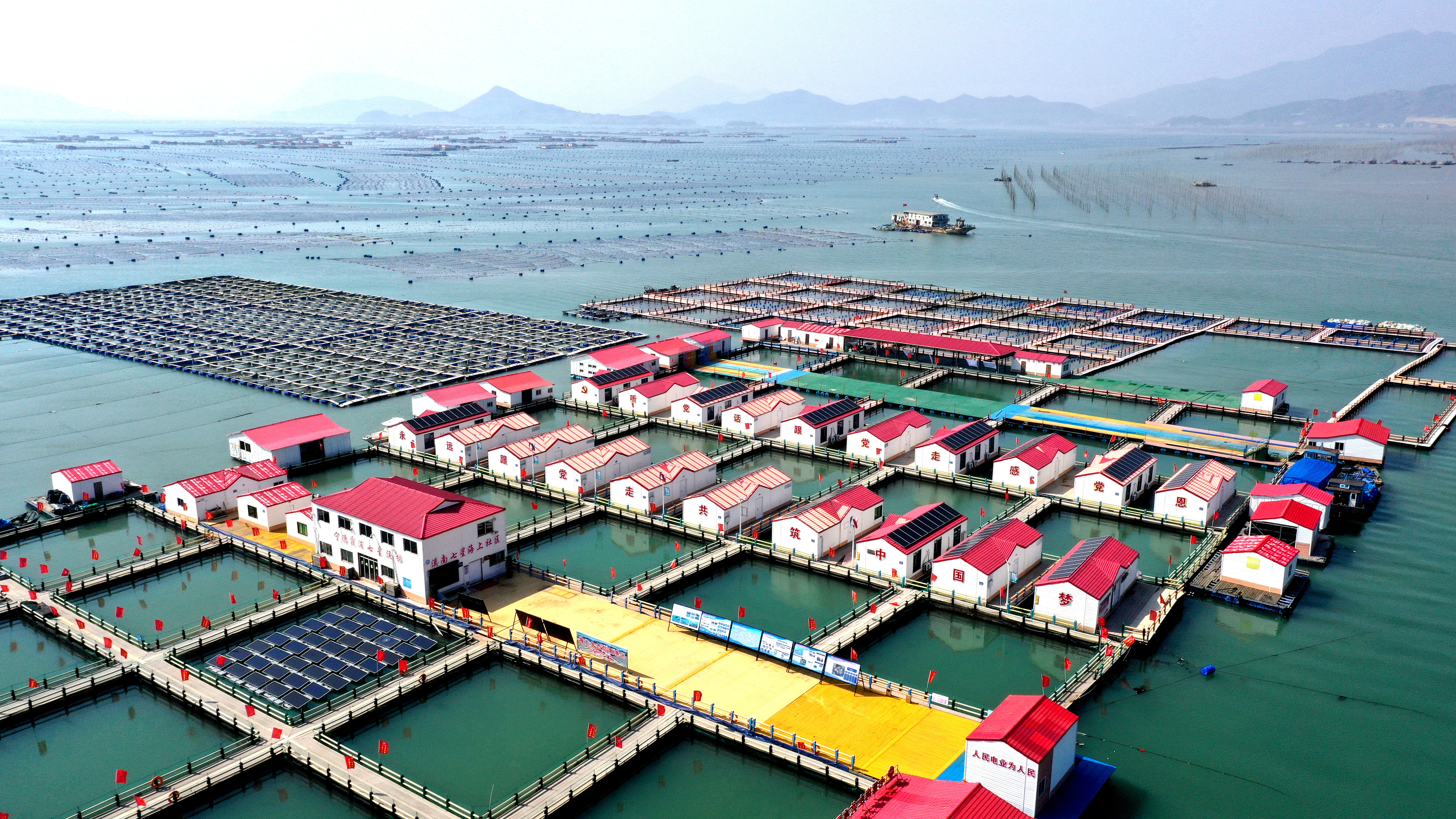 2024年3月20日，福建省寧德市，霞浦縣溪南鎮(zhèn)七星村漁排養(yǎng)殖示范區(qū)，漁民駕駛養(yǎng)殖船進(jìn)行海參養(yǎng)殖作業(yè)。